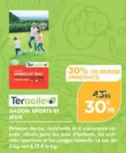 Point Vert Teragile gazon sports et jeux offre