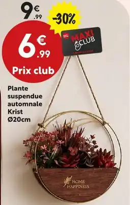 Maxi Bazar Plante suspendue automnale krist offre
