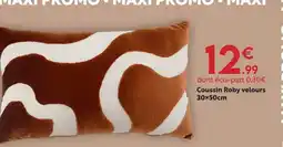 Maxi Bazar Coussin roby velours offre