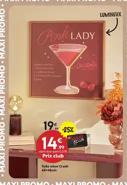 Maxi Bazar Toile néon crush offre