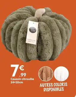Maxi Bazar Coussin citrouille offre