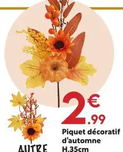 Maxi Bazar Piquet décoratif d’automne offre