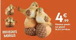Maxi Bazar Oiseaux posés sur gland offre
