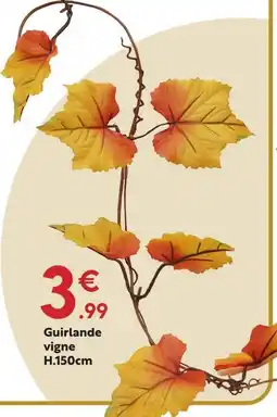 Maxi Bazar Guirlande vigne offre
