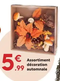 Maxi Bazar Assortiment décoration automnale offre
