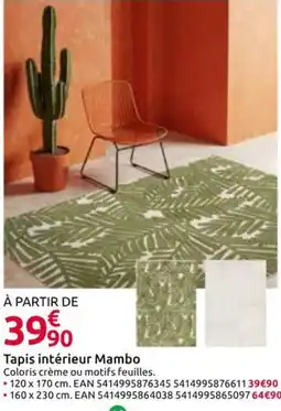 Mr Bricolage Mambo Tapis intérieur offre