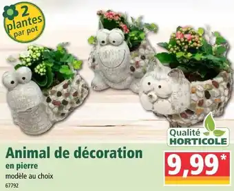 Norma Animal de décoration offre