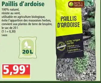 Paillis d'ardoise