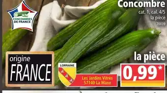 Norma Concombre offre