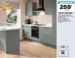 Brico Dépôt ELCOT VERT MAT offre