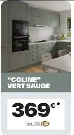 Brico Dépôt COLINE VERT SAUGE offre