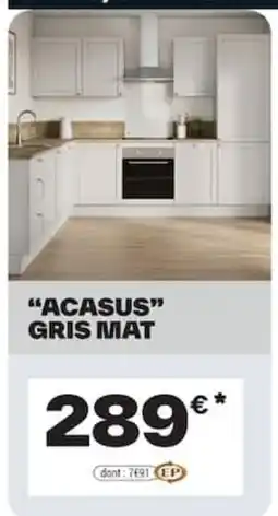 Brico Dépôt ACASUS GRIS MAT offre