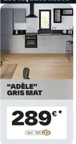 Brico Dépôt ADÈLE GRIS MAT offre
