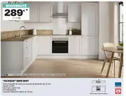 Brico Dépôt ACASUS GRIS MAT offre