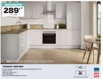 ACASUS GRIS MAT
