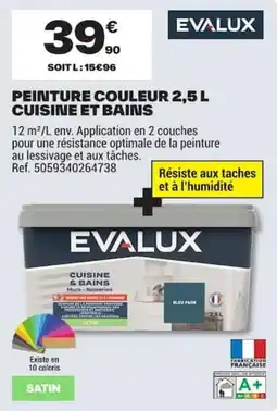Brico Dépôt EVALUX PEINTURE COULEUR offre