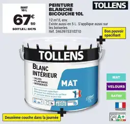 Brico Dépôt TOLLENS PEINTURE BLANCHE BICOUche offre