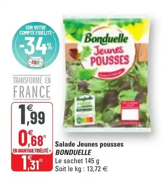 G20 Salade Jeunes Pousses BONDUELLE offre
