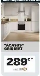 Brico Dépôt Acasus gris mat offre