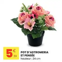 Stokomani Pot d'astromeria et pensée offre