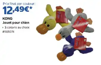 KONG Jouet pour chien