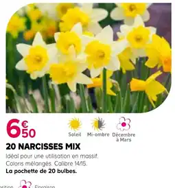 Kiriel Florgaison 20 NARCISSES MIX offre