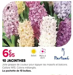 Kiriel JACINTHES offre
