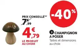 Super U Champignon a poser offre