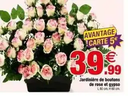 Bazarland Jardinière de boutons de rose et gypso offre