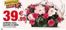 Bazarland Jardinière roses, amaryllis et cillets offre