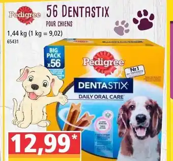 Norma Pour chiens offre