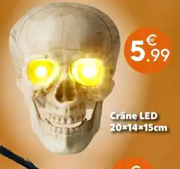 Maxi Bazar Crâne led 20×14×15 cm offre