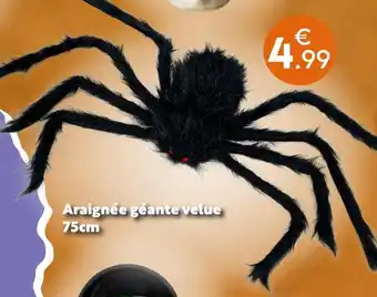 Araignée géante velue