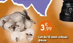 Maxi Bazar Lot de 12 mini-crânes offre