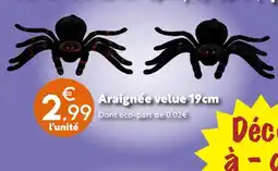 Maxi Bazar Araignée velue offre