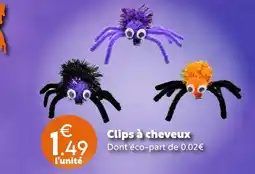 Maxi Bazar Clips à cheveux offre