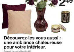 Zeeman Découvrez-les vous aussi : une ambiance chaleureuse pour votre intérieur offre