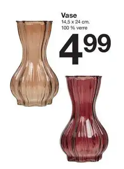 Zeeman Vase offre