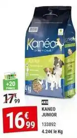 Gamm vert Kaneo junior offre