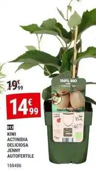 Gamm vert Kiwi offre
