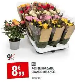 Gamm vert Rosier kordana grande melange offre