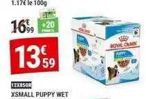 Gamm vert Royal - xsmall puppy wet offre