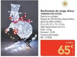 METRO Tarrington house - bonhomme de neige skieur offre