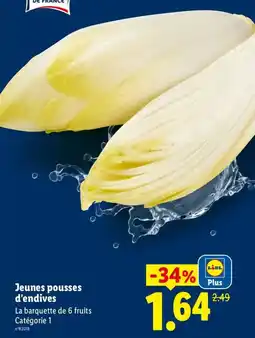 Lidl DE FRANCE Jeunes pousses d'endives offre