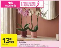 Carrefour Orchidée offre