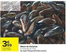 Carrefour Moule de Hollande offre