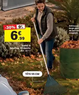 Shopix Balai a feuilles 22 dents offre