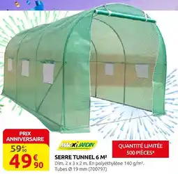 Rural Master Maxi jardin serre tunnel 6 m² offre