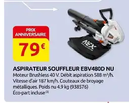 Rural Master Aspirateur souffleur ebv480d nu offre