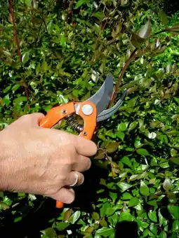 Gamm vert Sécateur traditionnel p121-23-f bahco offre